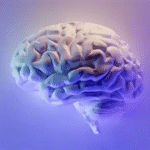 Supports Pineal Gland Health Naturally for Better Sleep and Mental Clarity