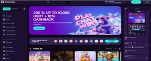 オンラインカジノ ランキングとは?プレイヤーが求める本当の価値