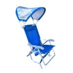 Eco-Adventure Awaits: Discover Wildlife While Paddle Boarding in Englewood, Florida