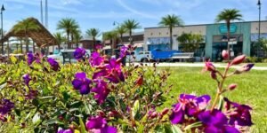 How Florida’s Climate Shapes Landscape Maintenance Strategies