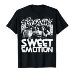 Mixed Emotion Meaning and Fashion Trends