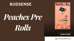 Justin Bieber’s Peaches Pre Rolls: A Fresh Spin on Cannabis Culture