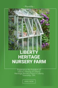 Affordable Driveways and Walkways Services Explained