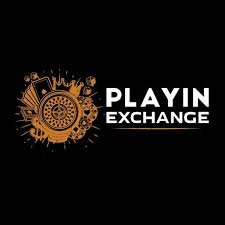 Rummy Online on Playinexch: Winning Tactics for Indian Players