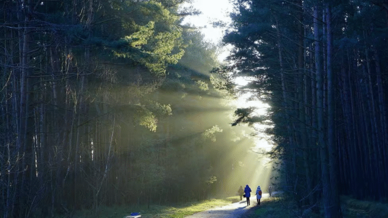 Oshino Hakkai Village Tour: Authentic Cultural Escape Near Mount Fuji