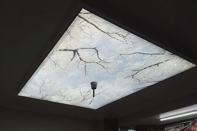 Enhance Your Commercial Spaces with Trusted Stretch Ceiling Manufacturers in Noida