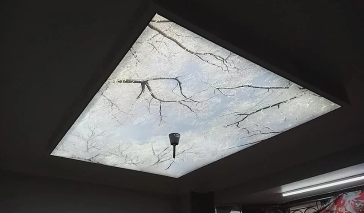 Enhance Your Commercial Spaces with Trusted Stretch Ceiling Manufacturers in Noida