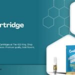 Best THC Cartridge Options to Buy Now in 2025– The 420 King (Miami Florida)