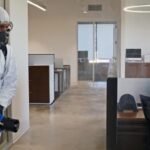 Fast and Reliable Emergency Mice Removal Services