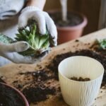 Creating Timeless Outdoor Beauty: The Art of Professional Landscaping in the UK