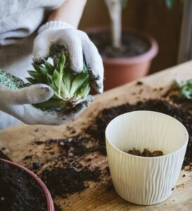 Creating Timeless Outdoor Beauty: The Art of Professional Landscaping in the UK