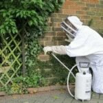 Professional Deemak Control and Termite Treatment by venuspest