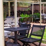 Spice Haven Presents Top Dubai Silicon Oasis Restaurants Serving Gourmet Dishes, Warm Hospitality and Unique Dining Concepts for Ultimate Food Enthusiasts