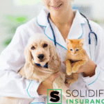 How Pet Insurance in Oakville Works and What to Expect