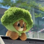 Hydrocodone: Indications, Warnings & Patient Guide