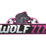 Why Should You Play Live Casino Games on Wolf777Cricket?