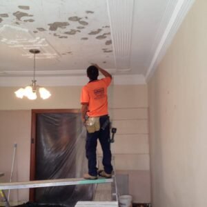 Steven Trevisan Plastering | Plastering Newcastle