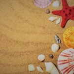 Best Computer Institute in Gorakhpur – AOC Computer & Digital Marketing Institute