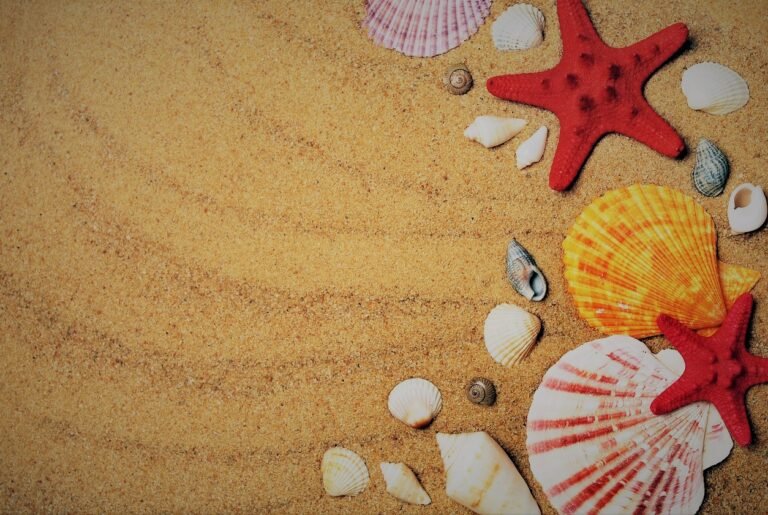 Best Computer Institute in Gorakhpur – AOC Computer & Digital Marketing Institute