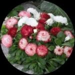 Trendy Juttis for The Perfect Millennial Looks with Gulbhahar