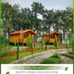 Why Choose a Hotel in Netarhat Jharkhand for Your Trip – Mountail Eco Resort