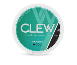 Best Tobacco Free Pouches – Clean, Smoke-Free Nicotine