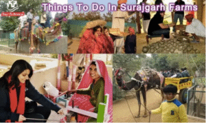 A Complete Guide to the Best Things to Do in Surajgarh Farm