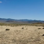 Invest in Florida Land Under $10,000