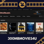 300mbmovies4u Explained: Popularity, Features, and Online Streaming Discussions