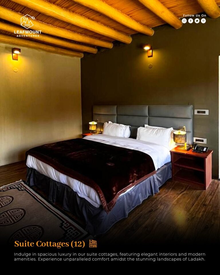 Discover Unforgettable Travel Experiences with Family Holiday Packages in Ladakh