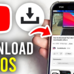 Top-Rated Online YouTube Video Downloaders for Free