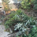 Household Waste Removal Canberra