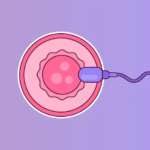 Best IVF Centre in Hyderabad: A Complete Guide to Advanced Fertility Care