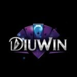 Diuwin – A Complete Guide to a Modern Online Gaming and Entertainment Platform