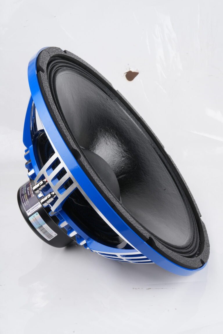 DJ Series Speakers by Audiotone – Power, Precision & Performance for Every Beat