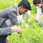 Elite MSc Agriculture Colleges in UP Shine