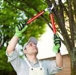 Verde Oasis Landscaping LLC