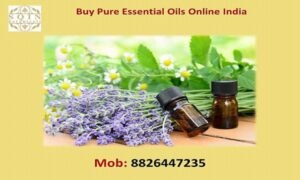 Does Kumkumadi Oil Really Fade Dark Spots? AG Organica Proof