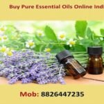 Does Kumkumadi Oil Really Fade Dark Spots? AG Organica Proof