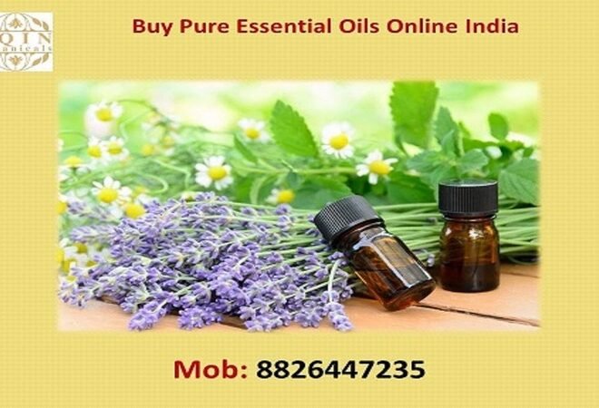 Does Kumkumadi Oil Really Fade Dark Spots? AG Organica Proof