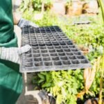 What Most Growers Get Wrong When Extending Their Growing Season