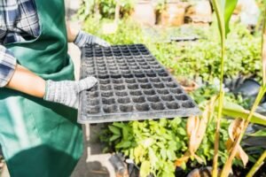 What Most Growers Get Wrong When Extending Their Growing Season