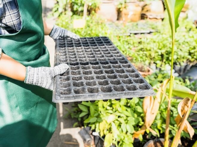 What Most Growers Get Wrong When Extending Their Growing Season