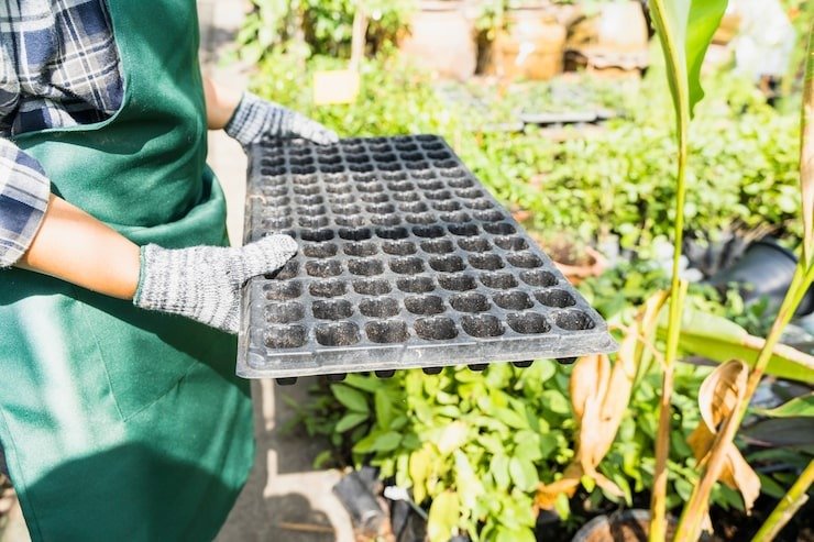 What Most Growers Get Wrong When Extending Their Growing Season