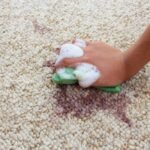 How to Clean Vomit Off Carpet: Carpet Cleaning in Wellington