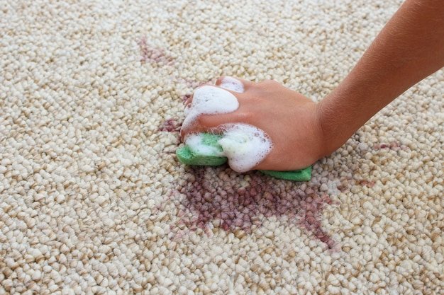 How to Clean Vomit Off Carpet: Carpet Cleaning in Wellington