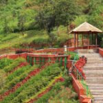 Mysore to Madikeri Cab | Mysore to Madikeri Taxi