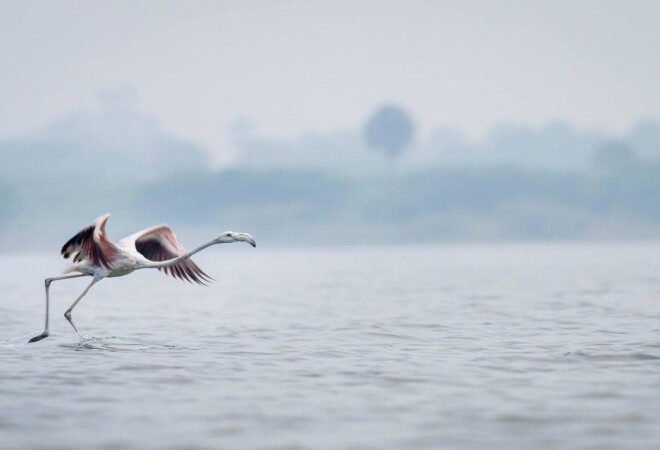 Nashik to Saputara Taxi | Nashik to Saputara Cab