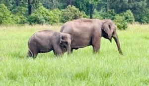 Moradabad to Ramnagar Cab | Moradabad to Ramnagar Taxi