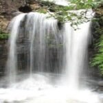 Nashik to Indore Cab